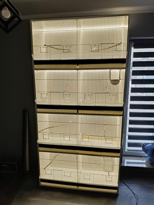 Witam mam do sprzedania regał na ptaki