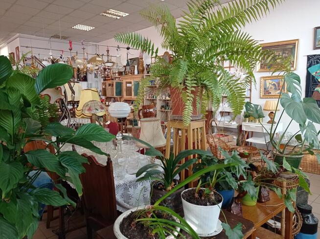 PEREŁKI Z DRUGIEJ RĘKI poszukują właściciela