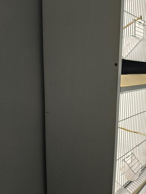 Witam mam do sprzedania regał na ptaki