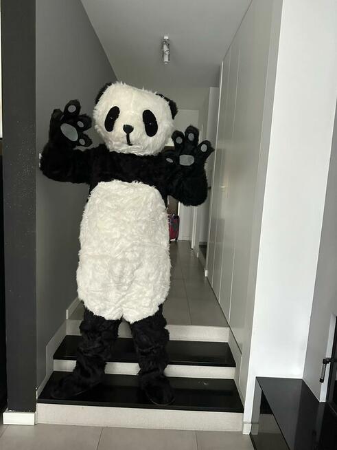 Wynajem Biały Miś - Strój reklamowy, żywa maskotka