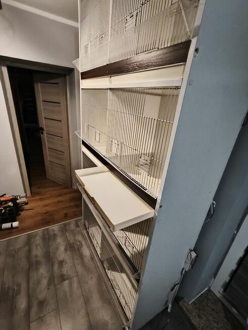 Witam mam do sprzedania regał na ptaki