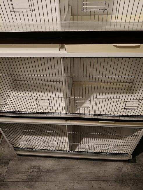 Witam mam do sprzedania regał na ptaki