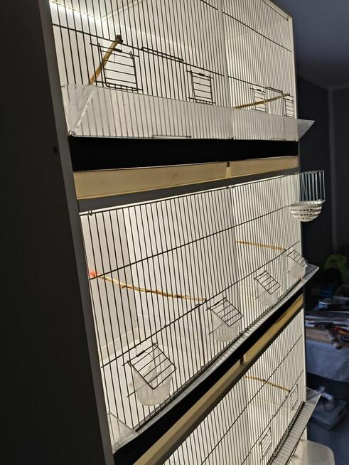 Witam mam do sprzedania regał na ptaki