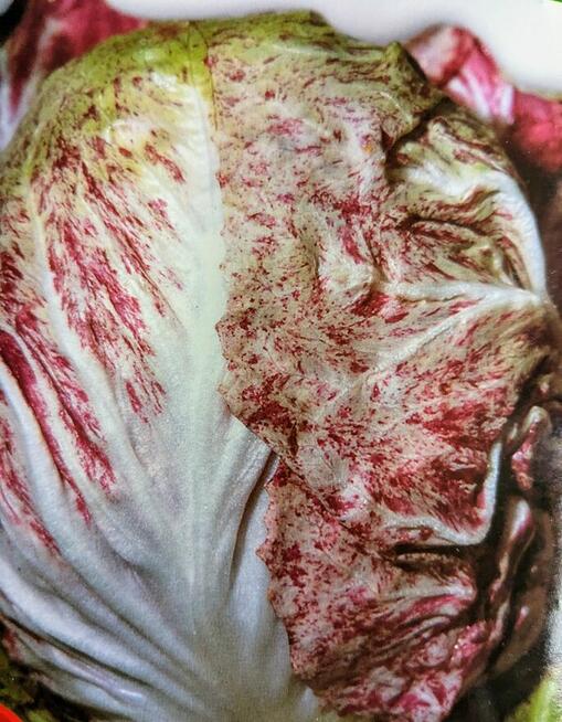 Black Cherry czarny pomidor kolekcja nasiona