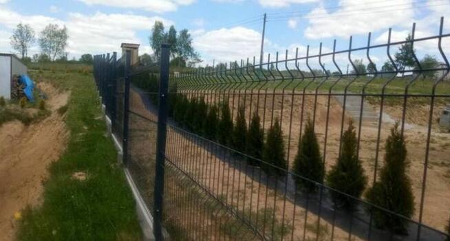 Panel ogrodzeniowy PROMOCJA 123x250cm fi4mm ocynk+kolor