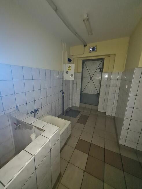 Lokal handlowo-usługowy na wynajem