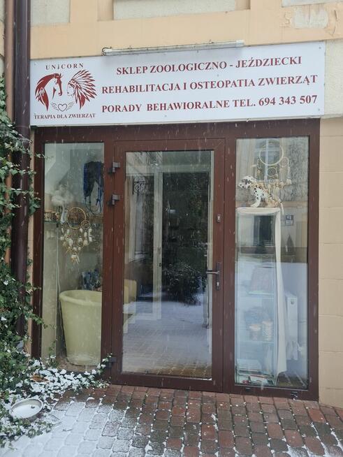 Salon groomerski/SPA dla zwierząt do wynajęcia