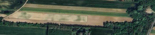 Sprzedaż nieruchomości rolnej w Rzuchowie!