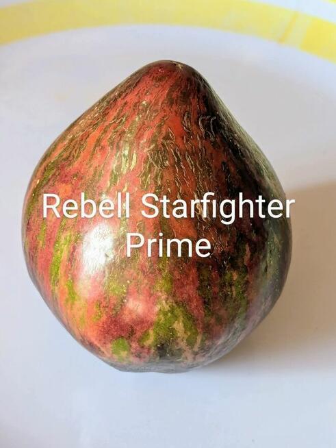 Black Cherry czarny pomidor kolekcja nasiona