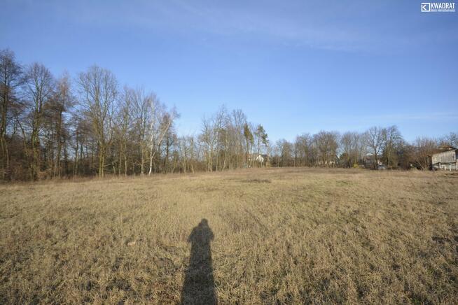 Działka budowlana Polanówka gm. Strzyżewice