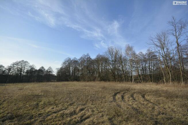 Działka budowlana Polanówka gm. Strzyżewice