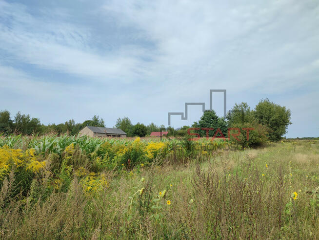 Działka siedliskowa Gurba gm. Mszczonów,