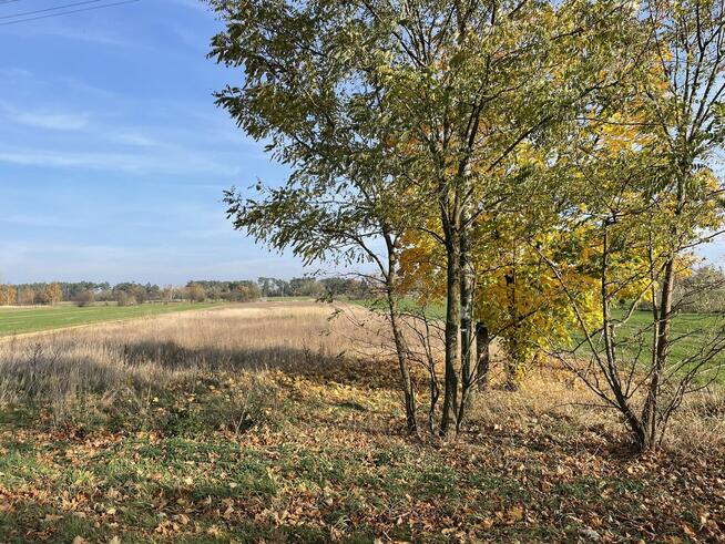 Działka pod zabudowę w Koźminie, blisko zalewu