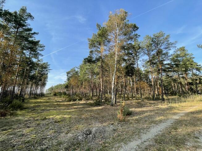Atrakcyjne działki budowlane w otoczeniu lasu, Młyniska