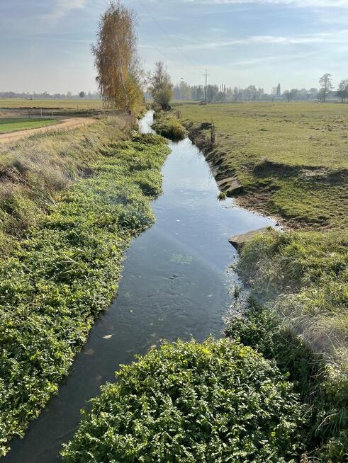 Działka pod zabudowę w Koźminie, blisko zalewu