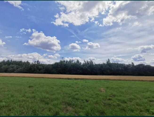 Działka 41a Zator budowlana, rekreacyjna, inwestycyjna