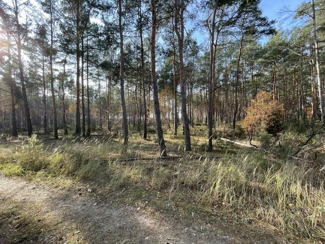 Atrakcyjne działki budowlane w otoczeniu lasu, Młyniska