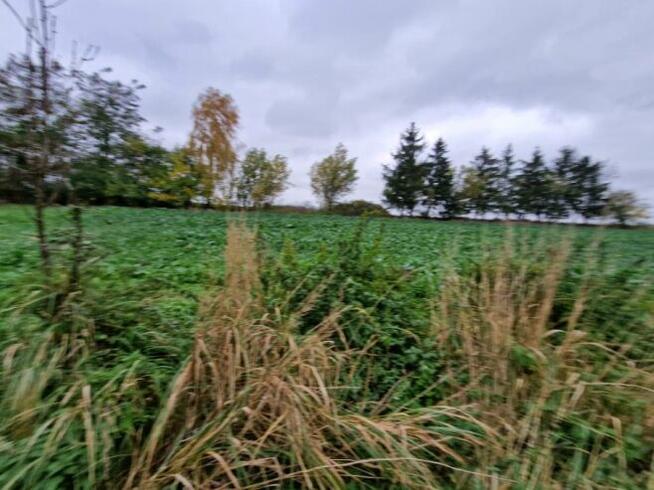 Syndyk sprzeda nieruchomość w miejscowości Jankowice