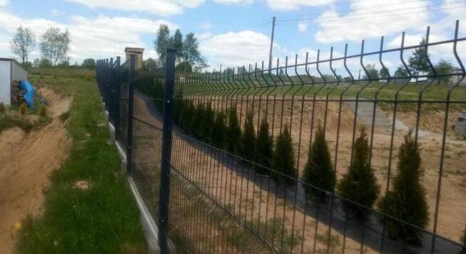 Panel ogrodzeniowy PROMOCJA 123x250cm fi4mm ocynk+kolor