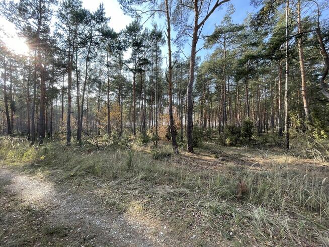 Atrakcyjne działki budowlane w otoczeniu lasu, Młyniska