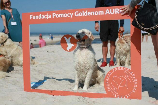 Ramki facebook instagram instaframe ramka na event