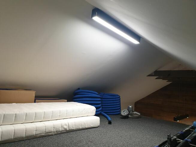 DZIAŁKA ROD Warszawa Ochota