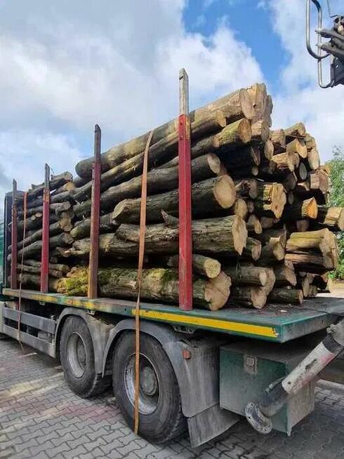 Grab, opał, drewno opałowe, kominkowe, wałki o długości 2,5m