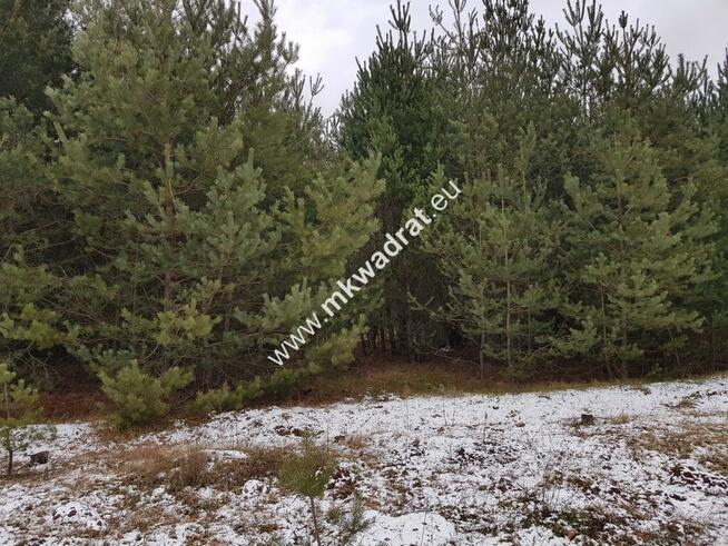 Działka 4000 m² - usługowo-budowlana MPZP!