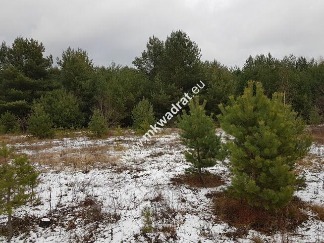 Działka 4000 m² - usługowo-budowlana MPZP!