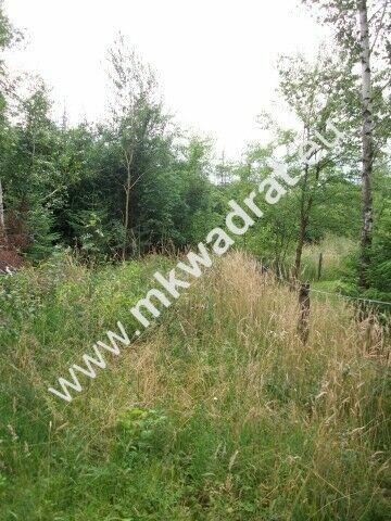 Działka 4000 m² - usługowo-budowlana MPZP!