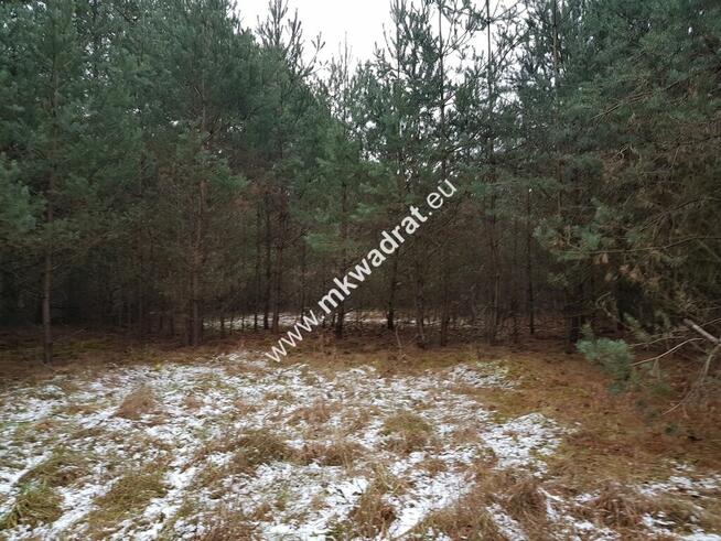 Działka 4000 m² - usługowo-budowlana MPZP!