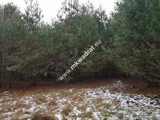 Działka 4000 m² - usługowo-budowlana MPZP!