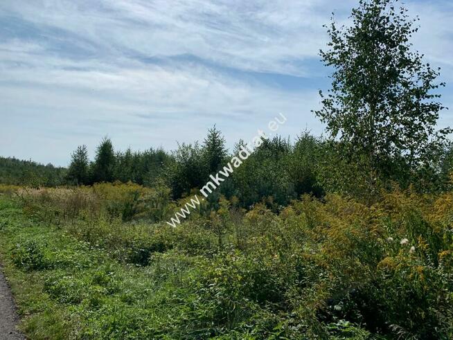 WARUNKI ZABUDOWY !!! OKAZJA