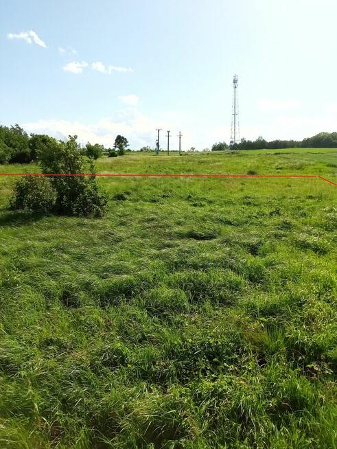 Wynajmę działkę rolno-budowlaną 500 zł / rok