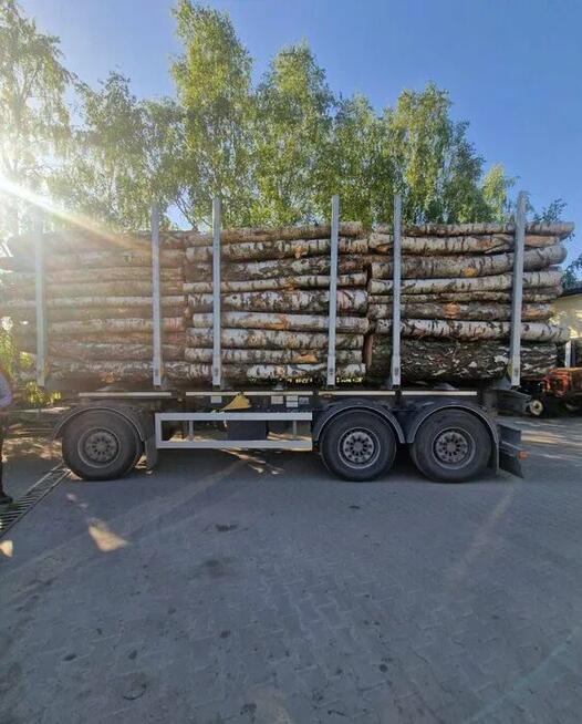 PIĘKNA Brzoza opałowe drewno brzozowe kominkowe, możliwy tra