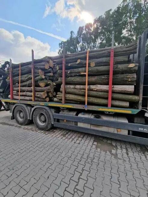 Grab, opał, drewno opałowe, kominkowe, wałki o długości 2,5m