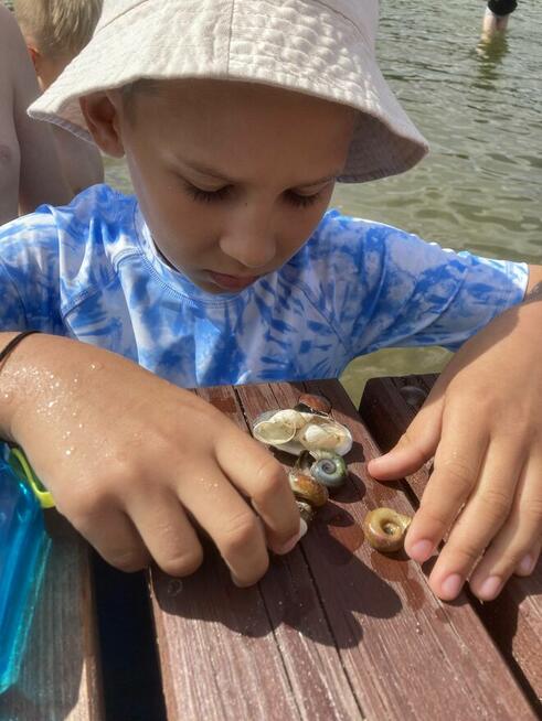 KOLONIE DLA MALUSZKÓW I MŁODSZYCH DZIECI - 2025 ŁAZY