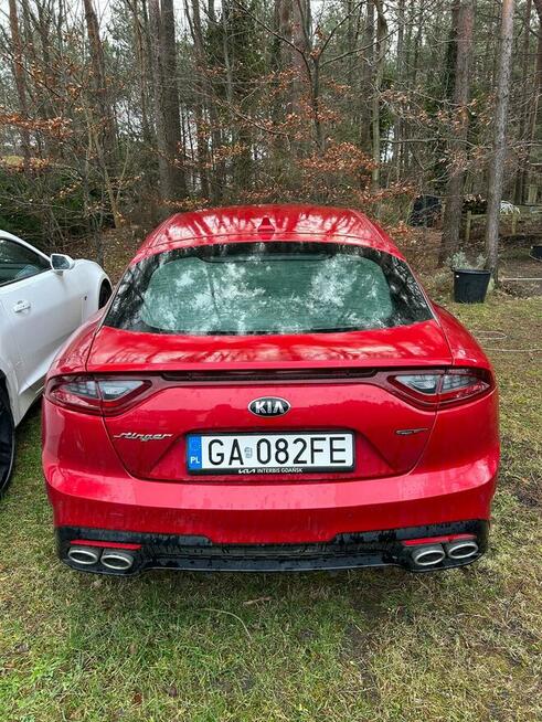 Syndyk sprzedaje pojazdy osobowe po firmie Stesar SP.K.