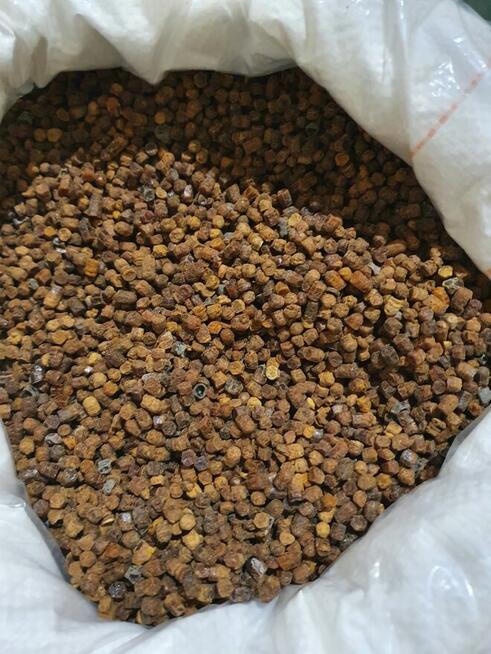 Miód Pszczeli Naturalny