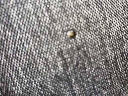 Ikea Evertsberg Rozkładana Sofa 3 Osobowa