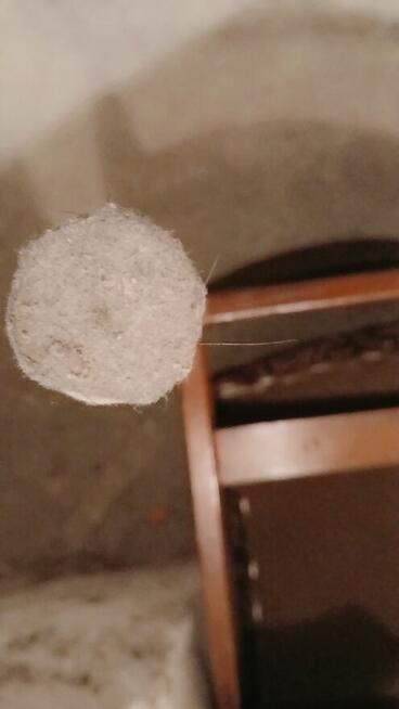 stol + 6 krzesel uzywane (prl 1972 r Swarzedz )