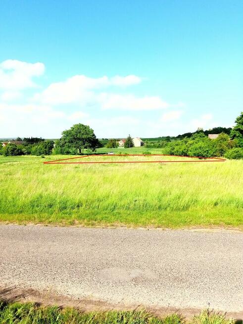 Wynajmę działkę rolno-budowlaną 500 zł / rok