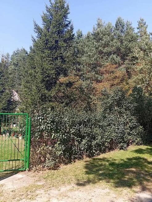 Sprzedam bezpośrednio siedlisko z budynkami gospodarczymi z