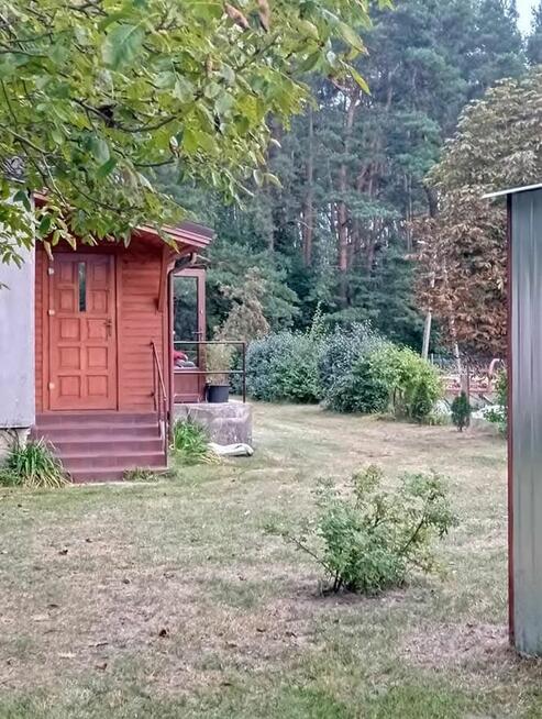 Sprzedam bezpośrednio siedlisko z budynkami gospodarczymi z