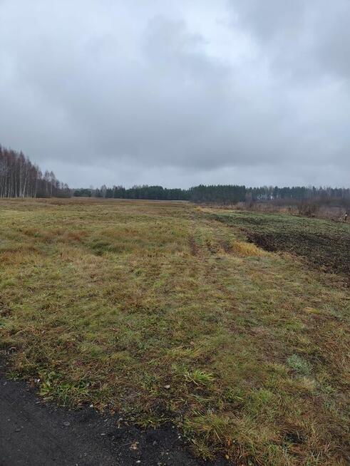 Sprzedam łąki z dostępem do rzeki Narewka