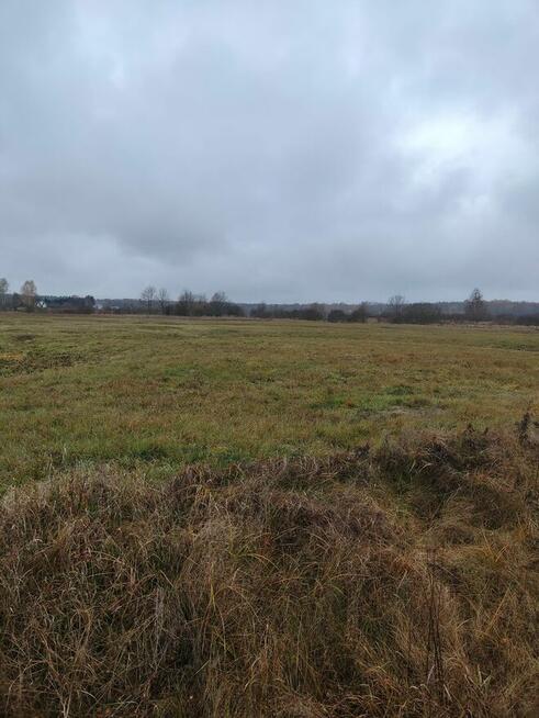 Sprzedam łąki z dostępem do rzeki Narewka