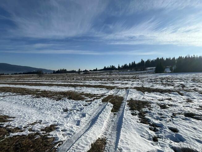 Działka Frydman CENA DO NEGOCJACJI