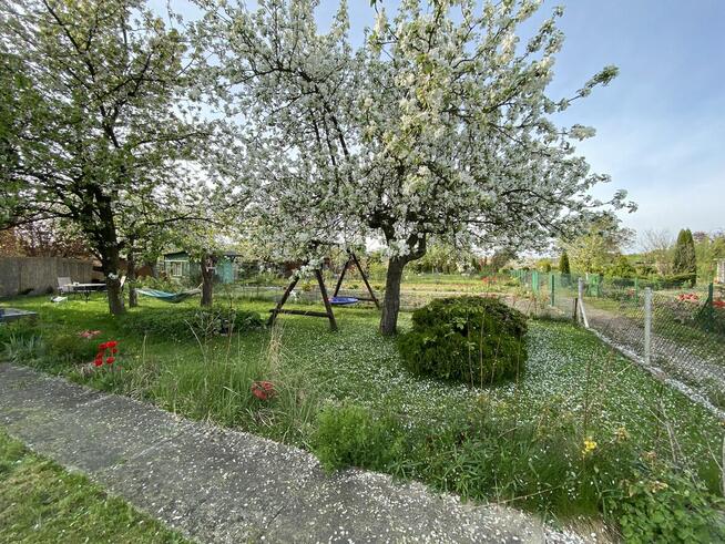 Działka ROD 400m2 domek murowany