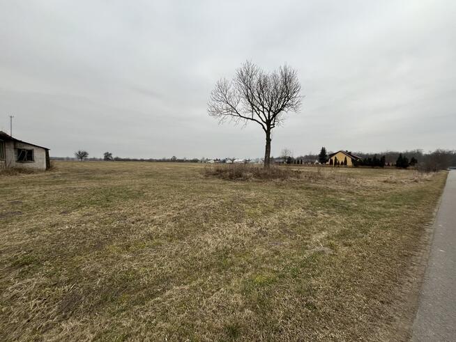 Działka rolno-bud. w Czarnolesie gm. Policzna.