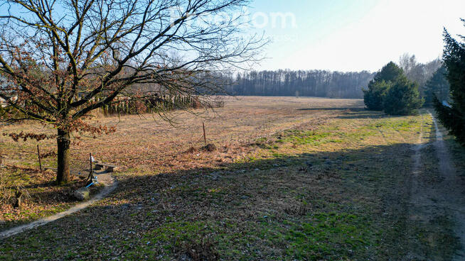 Teren pod inwestycję mieszkaniową w gminie Tarczyn